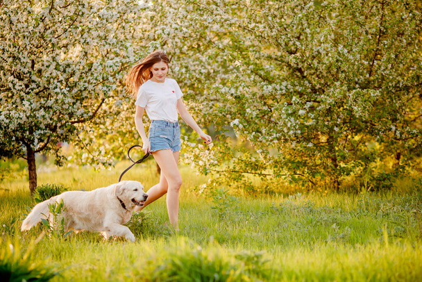 Женщина бегает с собакой-лабрадором в летнем парке, концепция занятий спортом с животными - Фото, изображение