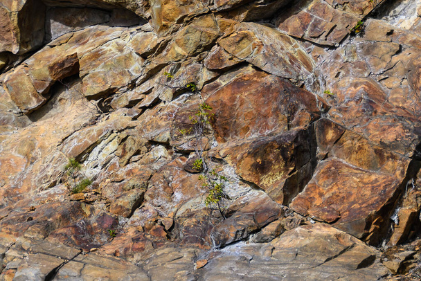 Streszczenie natury: Wzór stworzony przez pęknięcia i szczeliny w solidnej ścianie skalnej - Zdjęcie, obraz