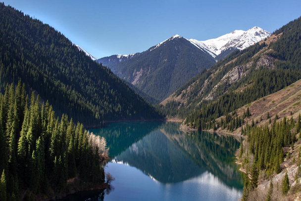 Alpine lake Kolsay in Kazakkhstan. Coniferous forest-covered mountain slopes are reflected in the water. - Zdjęcie, obraz