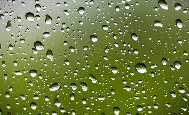 Textura de gotas de chuva brilhantes em um fundo verde - Foto, Imagem