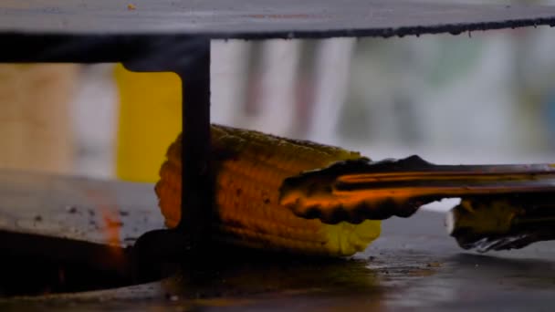 Αργή κίνηση: σεφ ψήσιμο υγιεινό κίτρινο καλαμπόκι σε brazier στο δρόμο της αγοράς τροφίμων - Πλάνα, βίντεο