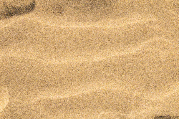 A sand dune - Photo, Image