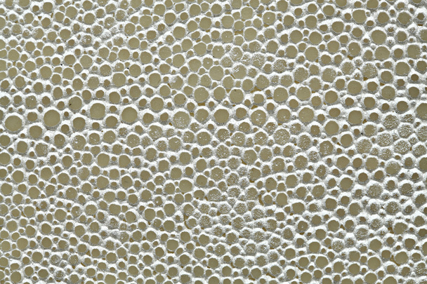 Silver leaf gnarled texture - Фото, зображення