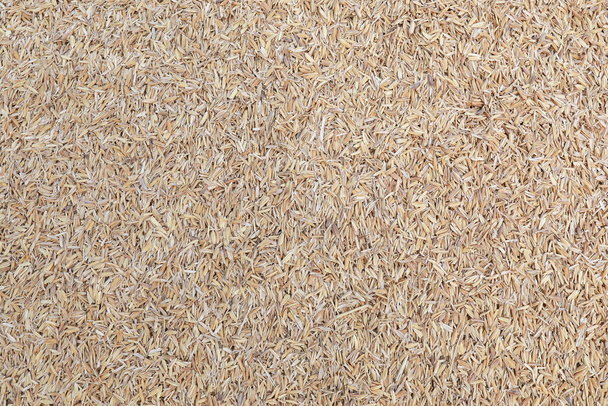 Pirinç kabuğunun görüntüsü. Pirinç öğütücüsünden elde edilen sert bir pirinç kabuğu. Pirinç üretiminden kalan fazlalıklar mı?. - Fotoğraf, Görsel