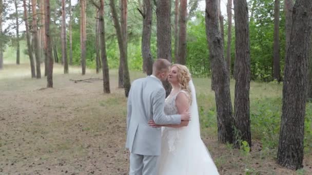 Gyönyörű menyasszony és a vőlegény ölelés és csók a nyári erdőben. - Felvétel, videó