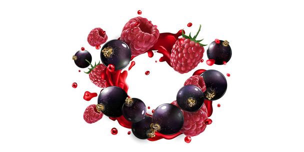 Black currants and raspberries in a splash of red fruit juice. - Vector, Imagen