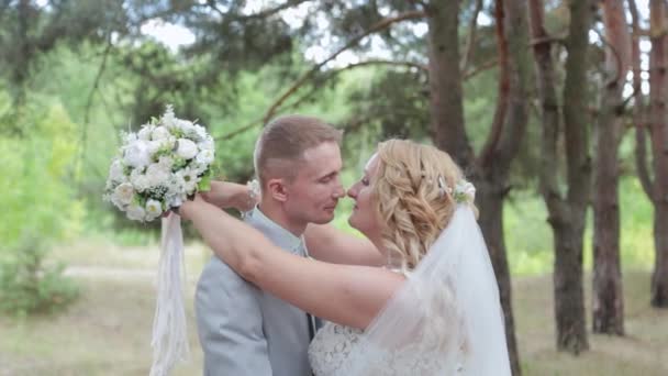 Gorgeous bride and groom hugging and kissing in summer forest. - Footage, Video