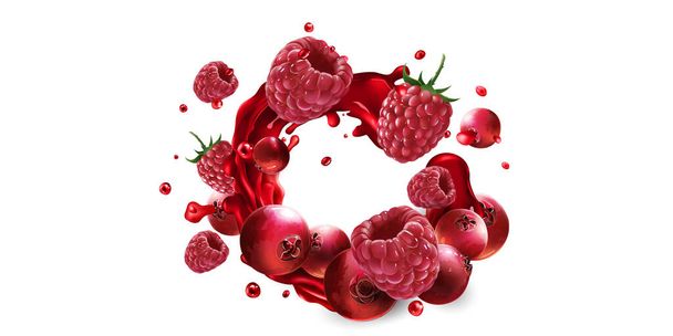 Cranberries and raspberries in a splash of red fruit juice. - Vektor, Bild