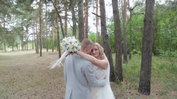 Splendidi sposa e sposo abbracciare e baciare nella foresta estiva. - Filmati, video