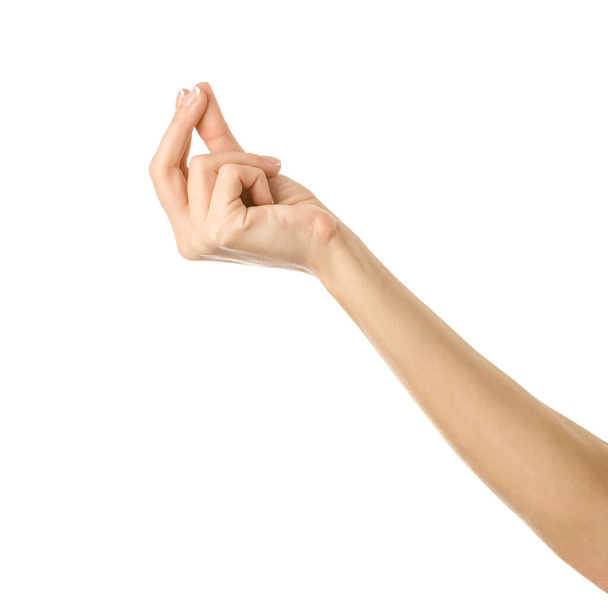 Hand holding. Woman hand gesturing isolated on white - Valokuva, kuva