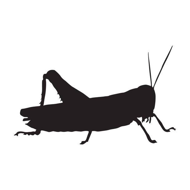 Standing Grasshopper (Caelifera) In una Vista Laterale Silhouette Trovato Nella Mappa Dell'Africa - Vettoriali, immagini