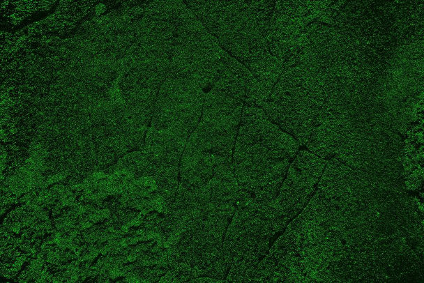 Green and black texture and background, copy space - 写真・画像