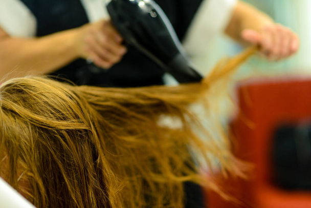 A professional hairdresser cutting the hair to a client - Foto, imagen