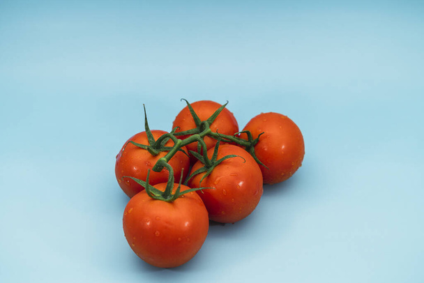 Un primer plano de tomates frescos sobre un fondo azul - Foto, Imagen