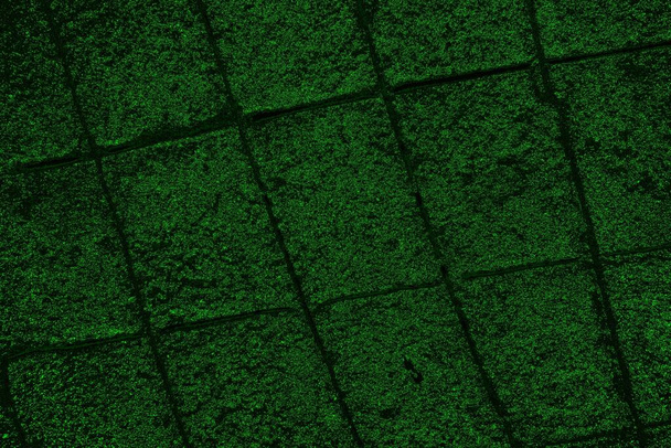 Yeşil ve siyah doku ve arkaplan, boşluğu kopyala - Fotoğraf, Görsel