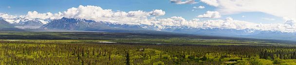 Wrangell St Elias, Glacier, Montagnes, Denali Highway, Faune, Ours, élan, orignal, mine Kennicott - Photo, image