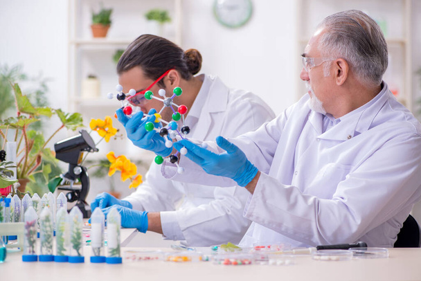 Two chemists working in the lab - Photo, Image