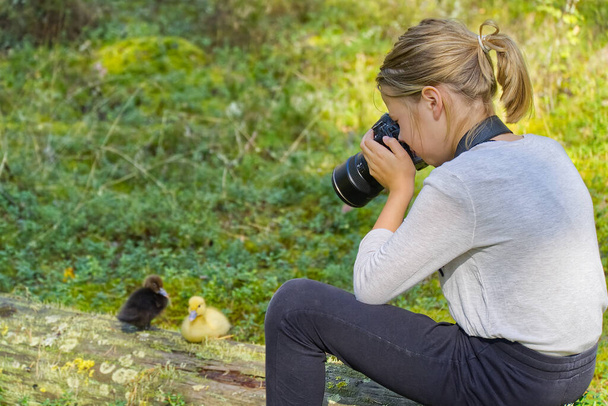 Young girl takes pictures of cute ducklings in the forest. Learning in photographing children, trainee in nature. young girl learning to photograph - Photo, Image