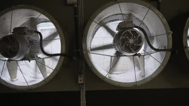 Nagy ipari ventilátorokkal dolgozik egy termelési területen. Forgó ventilátorlapátok. - Felvétel, videó