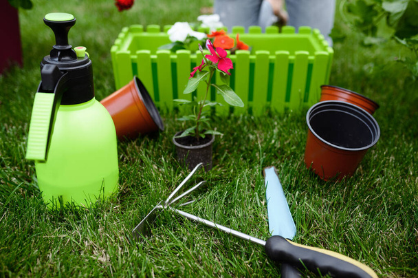 Puutarhanhoito työkaluja kasvien hoito, lähikuva näkymä, kukaan. Puutarhuri tai kukkakauppias laitteet. Kastelu spray, kuokka ja karsinnat ruoho lähellä kukkapenkkiin ja kukkaruukut, kesä harrastus, puutarha - Valokuva, kuva