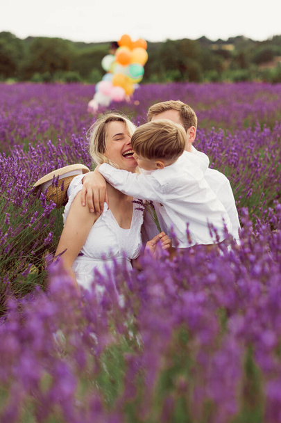 The smiling pregnant mom with her happy family is sitting in the lavender field - 写真・画像
