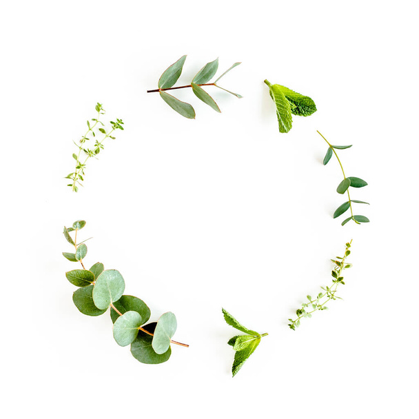 Round wreath frame made of mix of herbs, green branches, leaves mint, eucalyptus, thyme and plants collection on white background. Flat lay. Top view. - Foto, Imagem