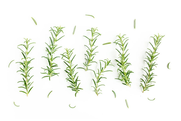 Green branch and leaves of rosemary isolated on a white background. Herbs. Flat lay. Top view - Фото, изображение