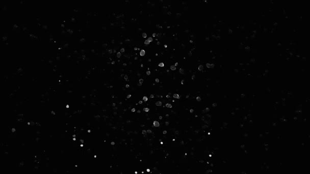 Gros plan des cristaux de glace hivernaux particules volantes dans l'espace noir de formes spatiales microélectroniques. Animation 3D, graphismes de composition éléments chimiques rotatifs, structures sur fond noir isolé. - Séquence, vidéo