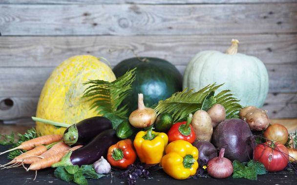 Autumn harvest. Free copy space. Various natural vegetables and fruits, grown in the country, on a dark wooden background. - Foto, Imagen