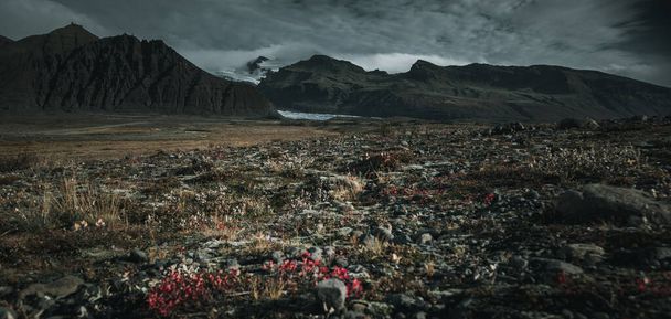 Güney İzlanda 'da renkli bir gün batımının uzun pozu - Fotoğraf, Görsel