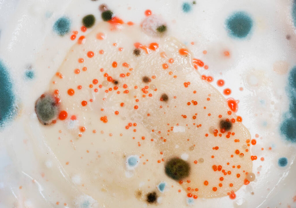 Molde de fungo crescendo na textura da superfície do leite de coco. - Foto, Imagem