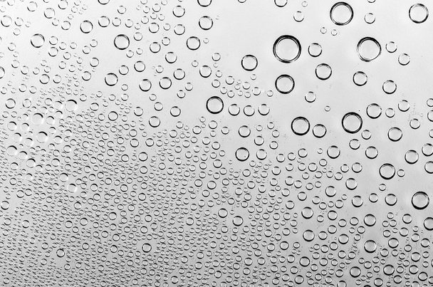 Water drops on black and white background - Photo, Image
