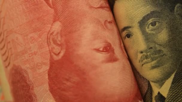 Мао Цзэдун и Ногути Хидэйо на банкнотах своих стран. - Кадры, видео