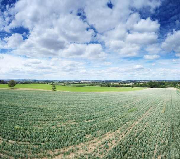 Αεροφωτογραφία της γεωργικής γης στην ύπαιθρο του oxfordshire στην Αγγλία - Φωτογραφία, εικόνα