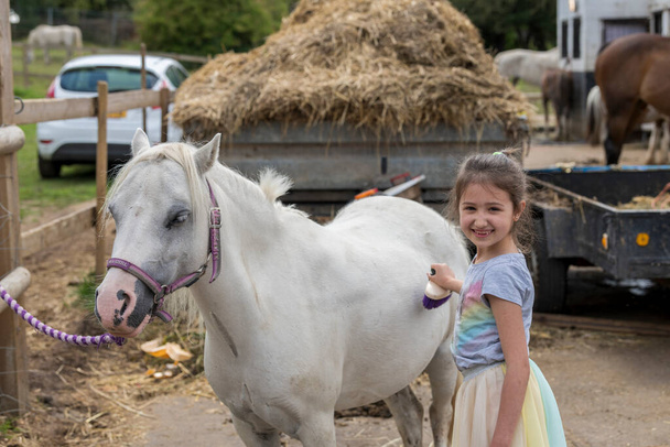 Glimlachend mooi jong meisje staan verzorgen van het paard met een borstel in een outdoor paddock - Foto, afbeelding