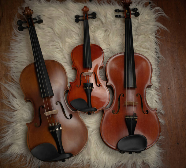 Drei Geigen im Hintergrund, zeigen Details und unterschiedliche Größe des akustischen Instruments - Foto, Bild