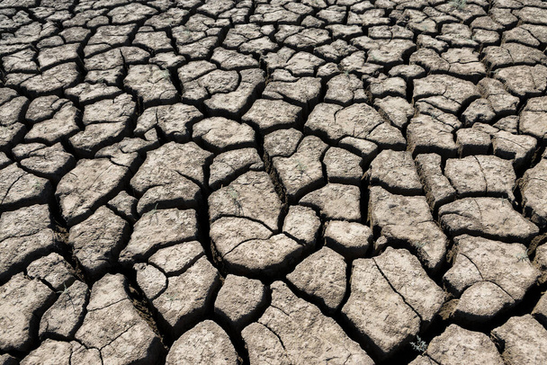 Osa valtava alue kuivaa maata kärsii kuivuudesta halkeamia. - Valokuva, kuva