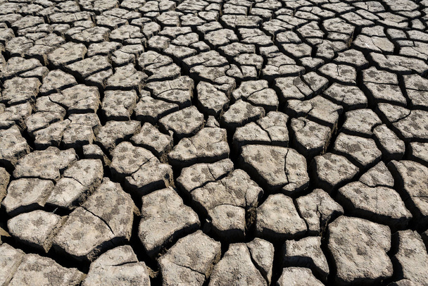 Part of a huge area of dried land suffering from drought in cracks. - Photo, Image