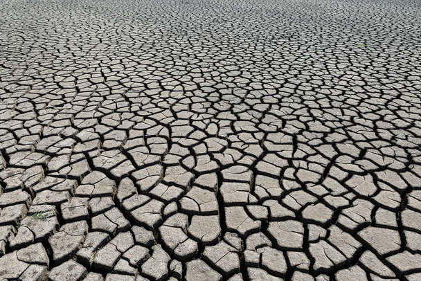 Parte de una enorme área de tierra seca que sufre de sequía en grietas. - Foto, Imagen