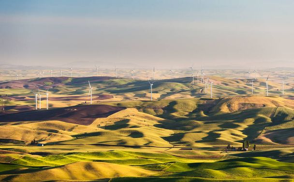 Ферма ветряных турбин на пшеничном поле в Палузе, Вашингтон, США - Фото, изображение
