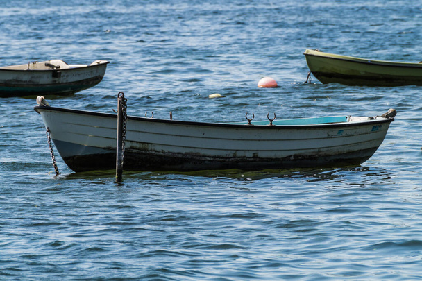 Groupe de vieux bateaux à rames attachés sur un lac en Allemagne, schleswig holstein. - Photo, image