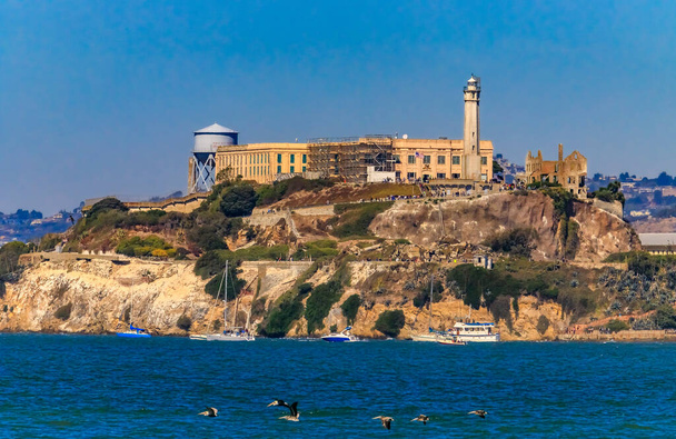 Ünlü Alcatraz Adası, San Francisco Körfezi, Kaliforniya 'da eski bir hapishane. Ön planda pelikanlar uçuyor. - Fotoğraf, Görsel