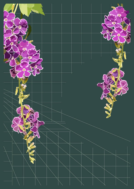 Vintage flowers (Duranta) and minimal geometric lines grid background template - Vector, Image