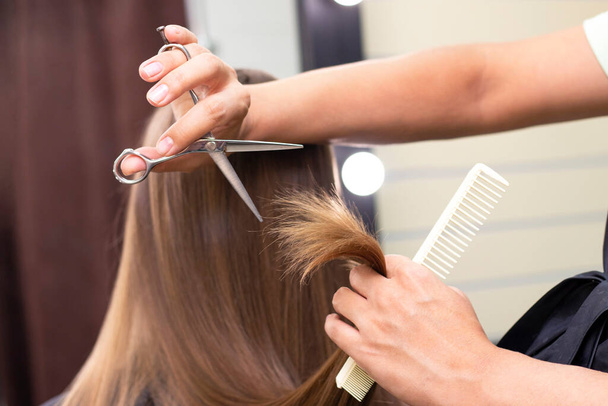 Womens hairdresser, beauty salon. Professional stylist cuts female hair in salon, close up - Zdjęcie, obraz