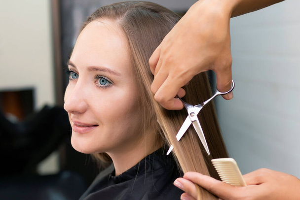 Womens hairdresser, beauty salon. Professional stylist cuts female hair in salon - Foto, imagen