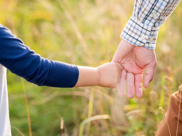 Father and son hold hands. Emotional and moral support. Kid holds daddy's finger. Golden hour outdoors. Natural summer or autumn background. - Fotografie, Obrázek