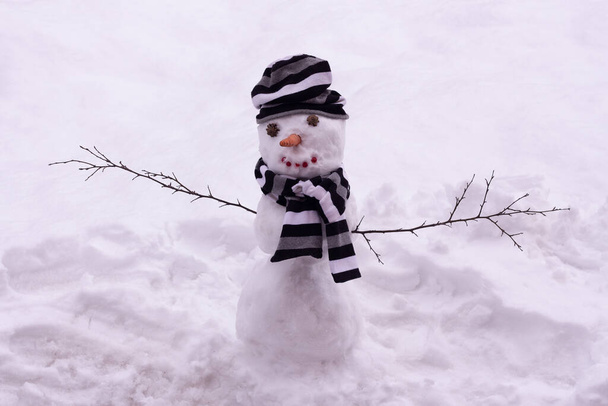 Снеговик в полосатой шляпе с шарфом в снегу. Зимний сад. - Фото, изображение