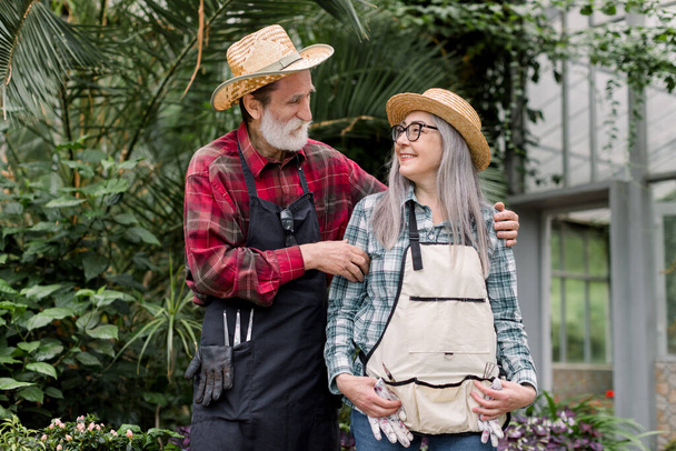 Portrait of cheerful smiling senior couple of gardeners in love, gray haired man and woman in straw hats and aprons, standing in beautiful greenhouse and looking each other - Foto, Bild