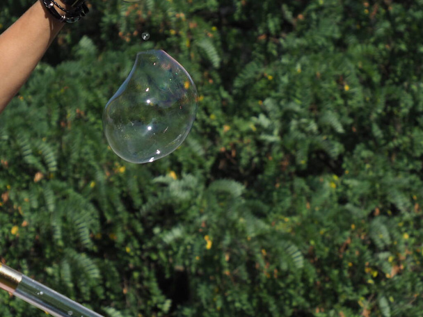 big soap bubble on a green tree background - Φωτογραφία, εικόνα