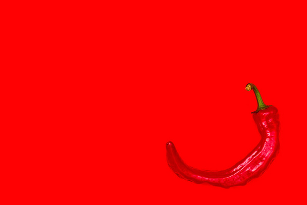 red hot pepper on a red background top view one - Photo, Image